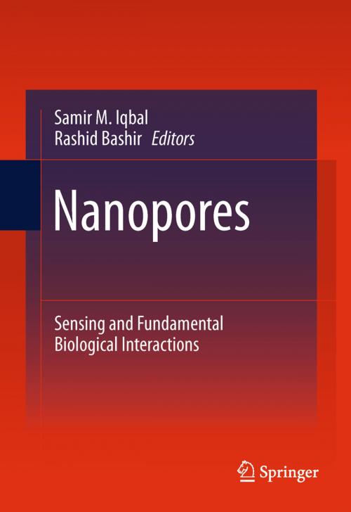 Cover of the book Nanopores by , Springer US