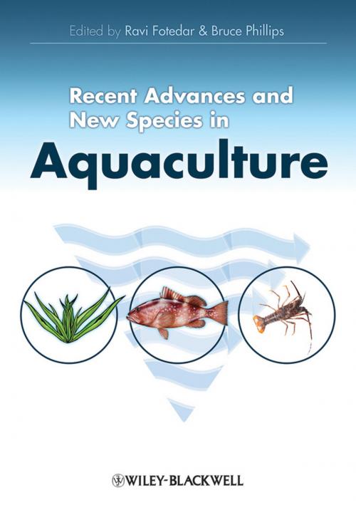 Cover of the book Recent Advances and New Species in Aquaculture by , Wiley