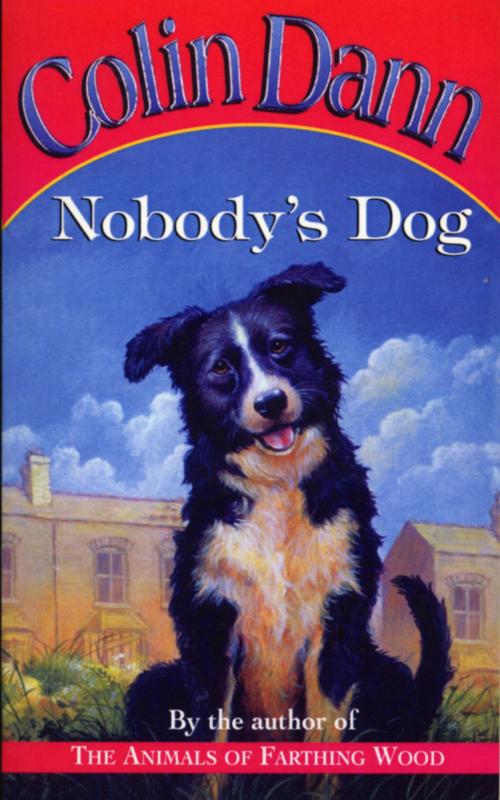 Cover of the book Nobody's Dog by Colin Dann, RHCP