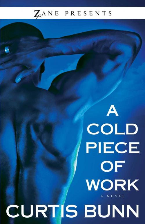 Cover of the book A Cold Piece of Work by Curtis Bunn, Strebor Books