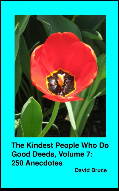 Cover of the book The Kindest People Who Do Good Deeds, Volume 7: 250 Anecdotes by David Bruce, David Bruce