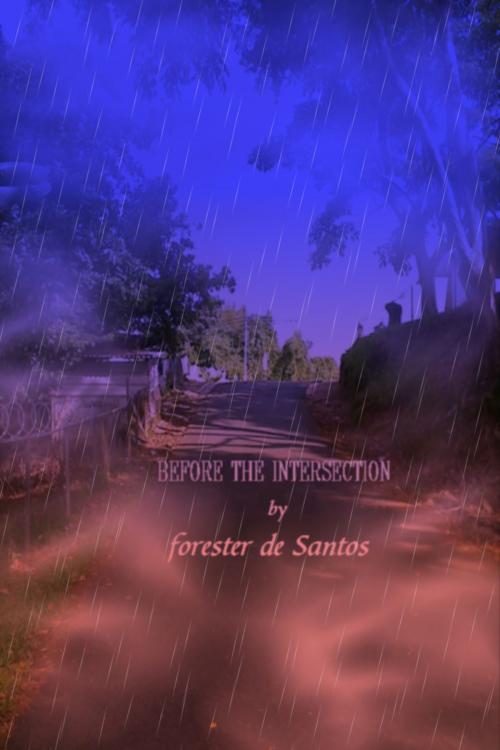 Cover of the book Before The Intersection by Forester de Santos, Forester de Santos