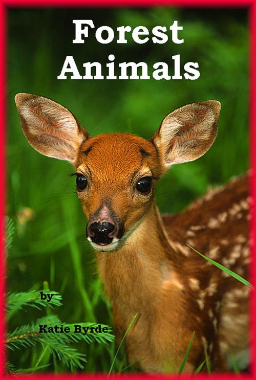 Cover of the book Forest Animals by Katie Byrde, Katie Byrde