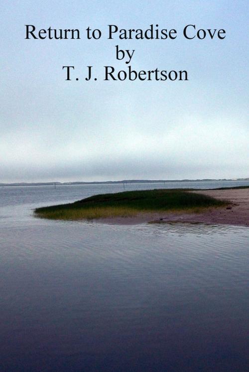 Cover of the book Return to Paradise Cove by T. J. Robertson, T. J. Robertson