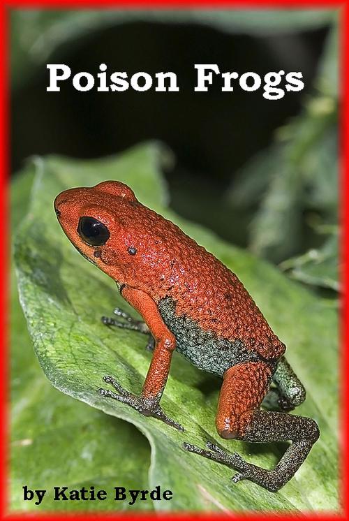 Cover of the book Poison Frogs by Katie Byrde, Katie Byrde
