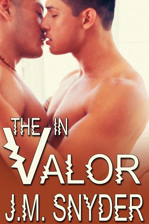 Cover of the book V: The V in Valor by J.M. Snyder, JMS Books LLC