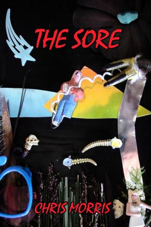 Cover of the book The Sore by chris c morris, BookBaby