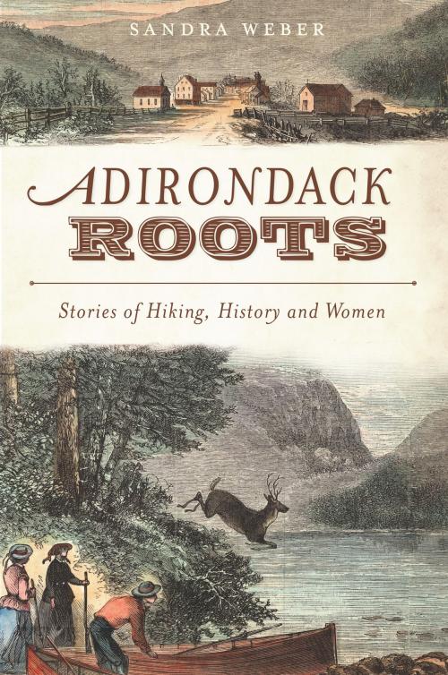 Cover of the book Adirondack Roots by Sandra Weber, Arcadia Publishing Inc.