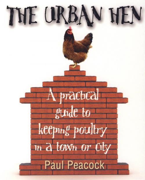 Cover of the book The Urban Hen by Paul Peacock, Little, Brown Book Group