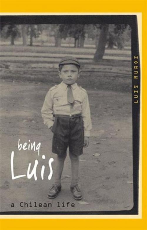 Cover of the book Being Luis by Luis Muñoz, Impress Books