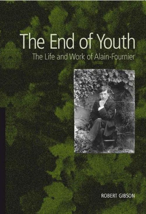 Cover of the book The End of Youth by Robert Gibson, Impress Books