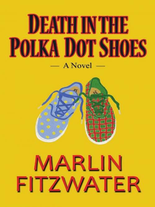 Cover of the book Death in the Polka Dot Shoes: A Novel by Marlin Fitzwater, CCB Publishing