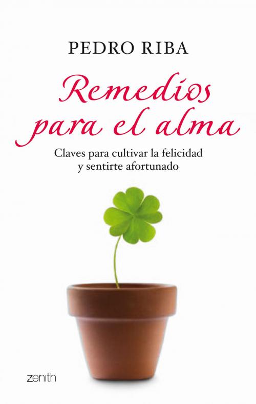 Cover of the book Remedios para el alma by Pedro Riba, Grupo Planeta