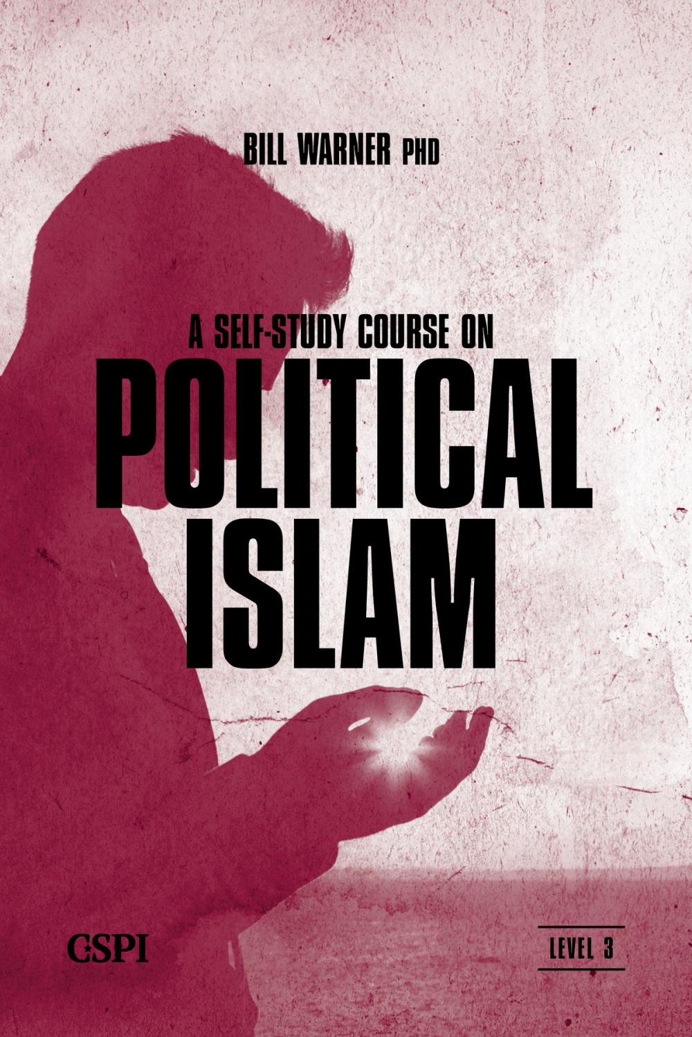 Big bigCover of A Self-Study Course on Political Islam, Level 3