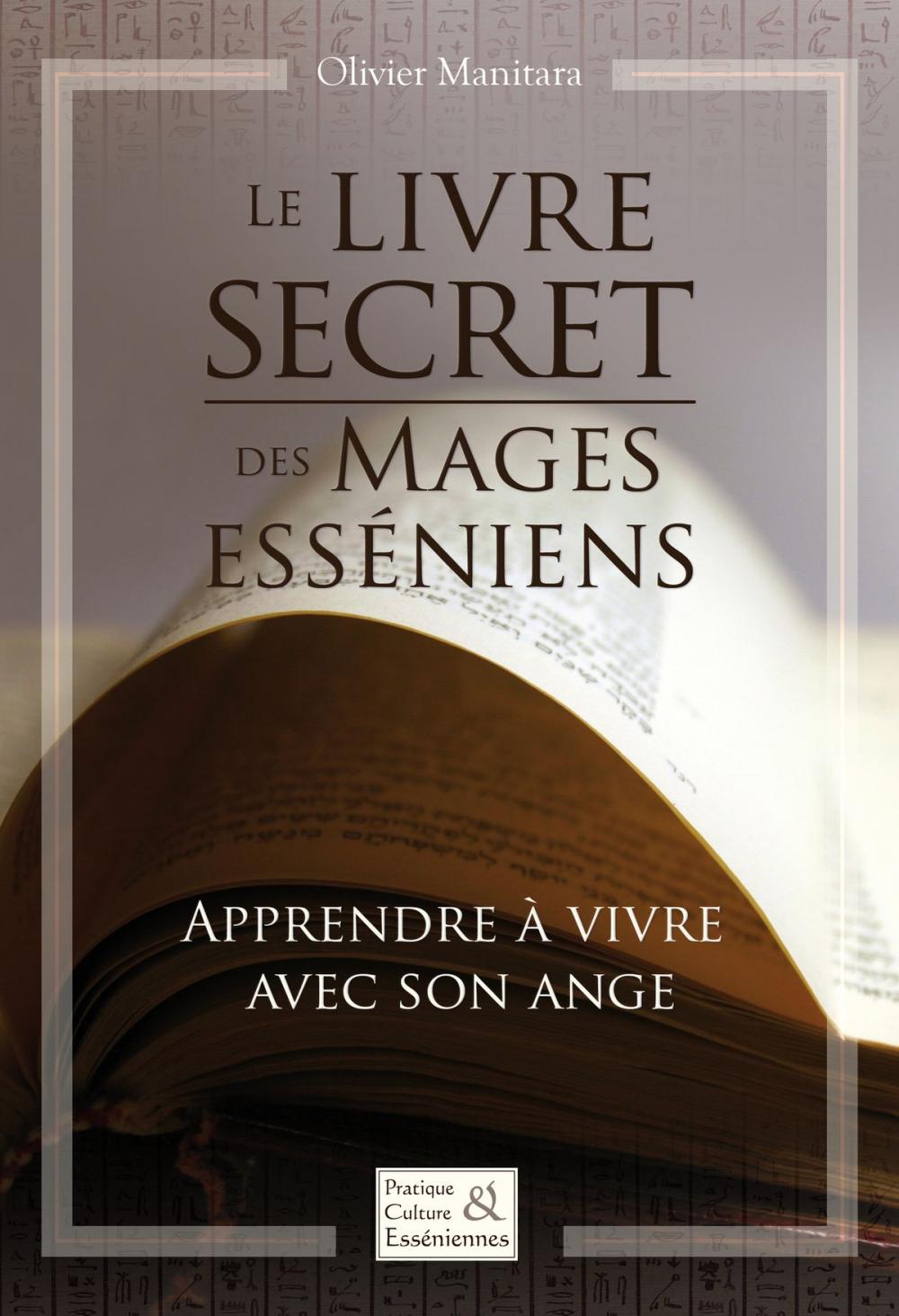 Big bigCover of Le livre secret des Mages esséniens