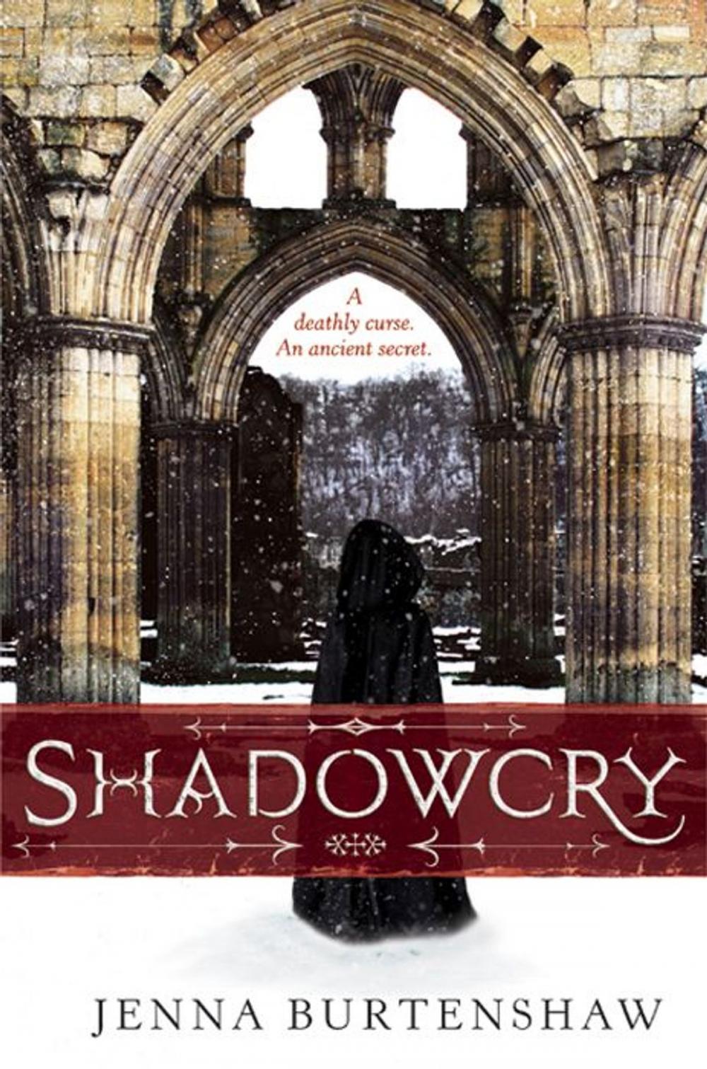 Big bigCover of Shadowcry