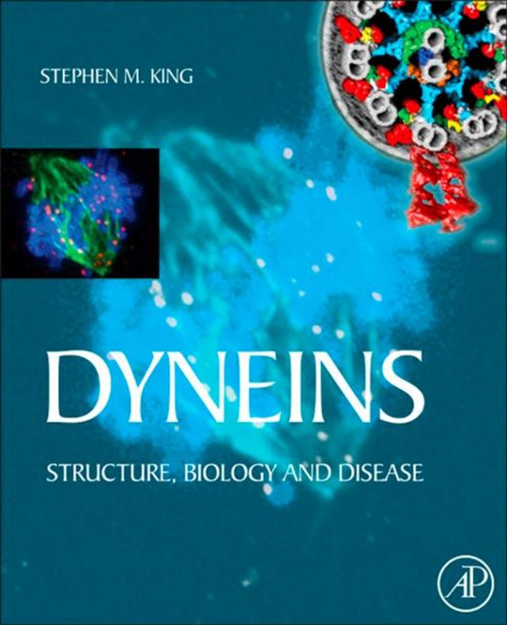 Big bigCover of Dyneins