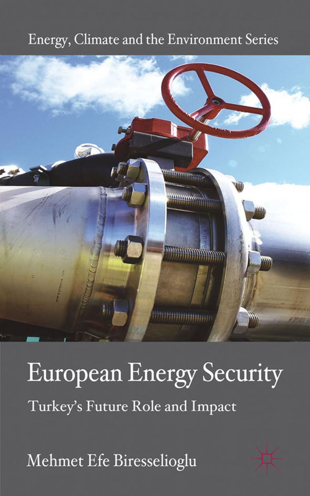 Big bigCover of European Energy Security