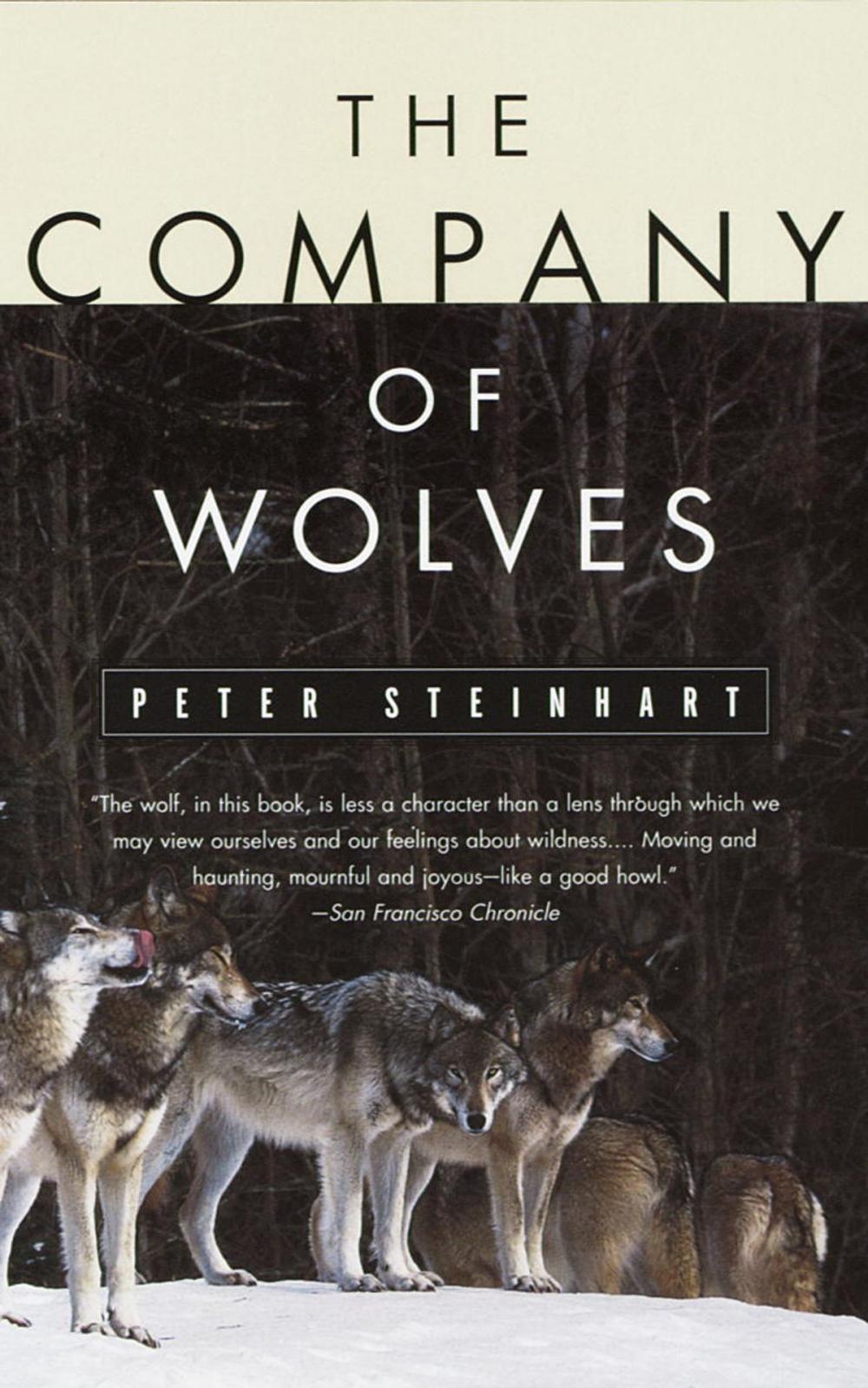 Big bigCover of The Company of Wolves