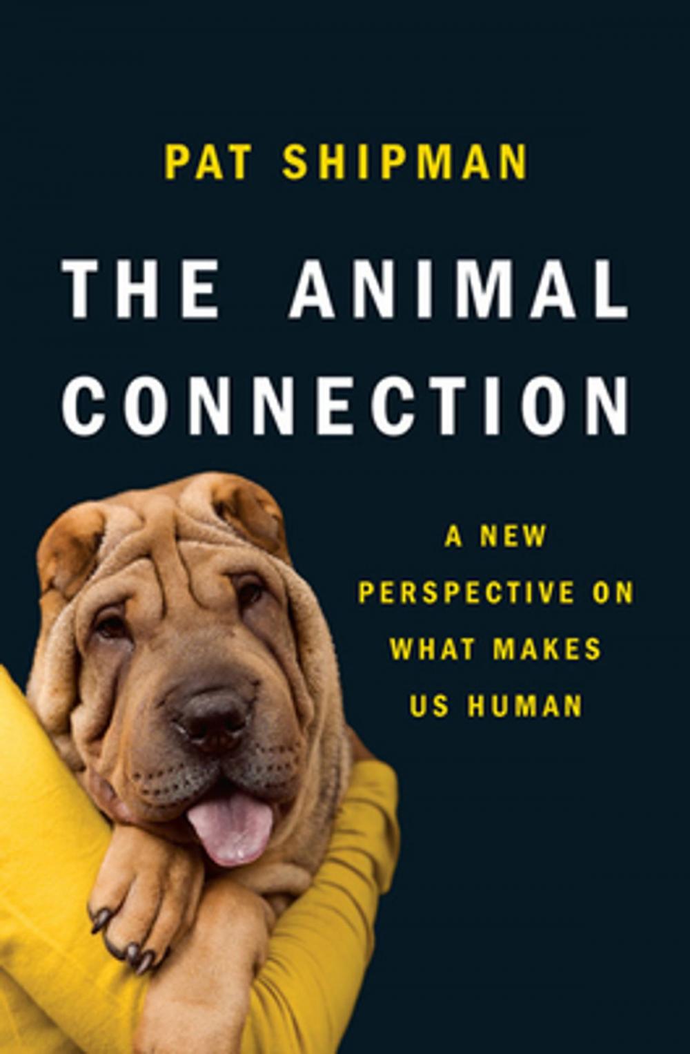 Big bigCover of The Animal Connection: A New Perspective on What Makes Us Human