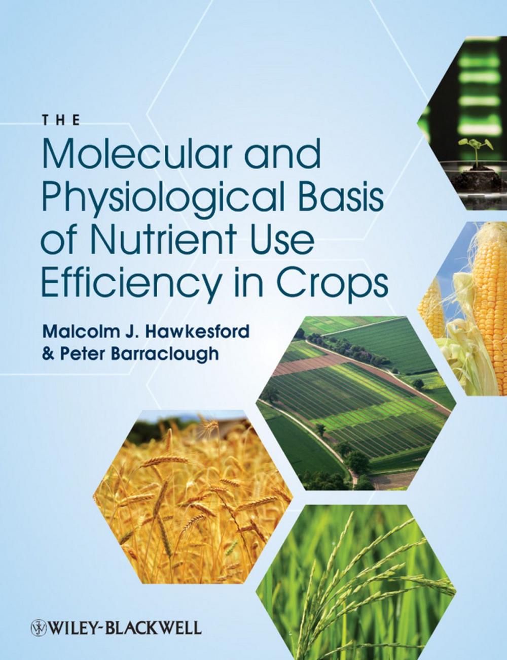 Big bigCover of The Molecular and Physiological Basis of Nutrient Use Efficiency in Crops