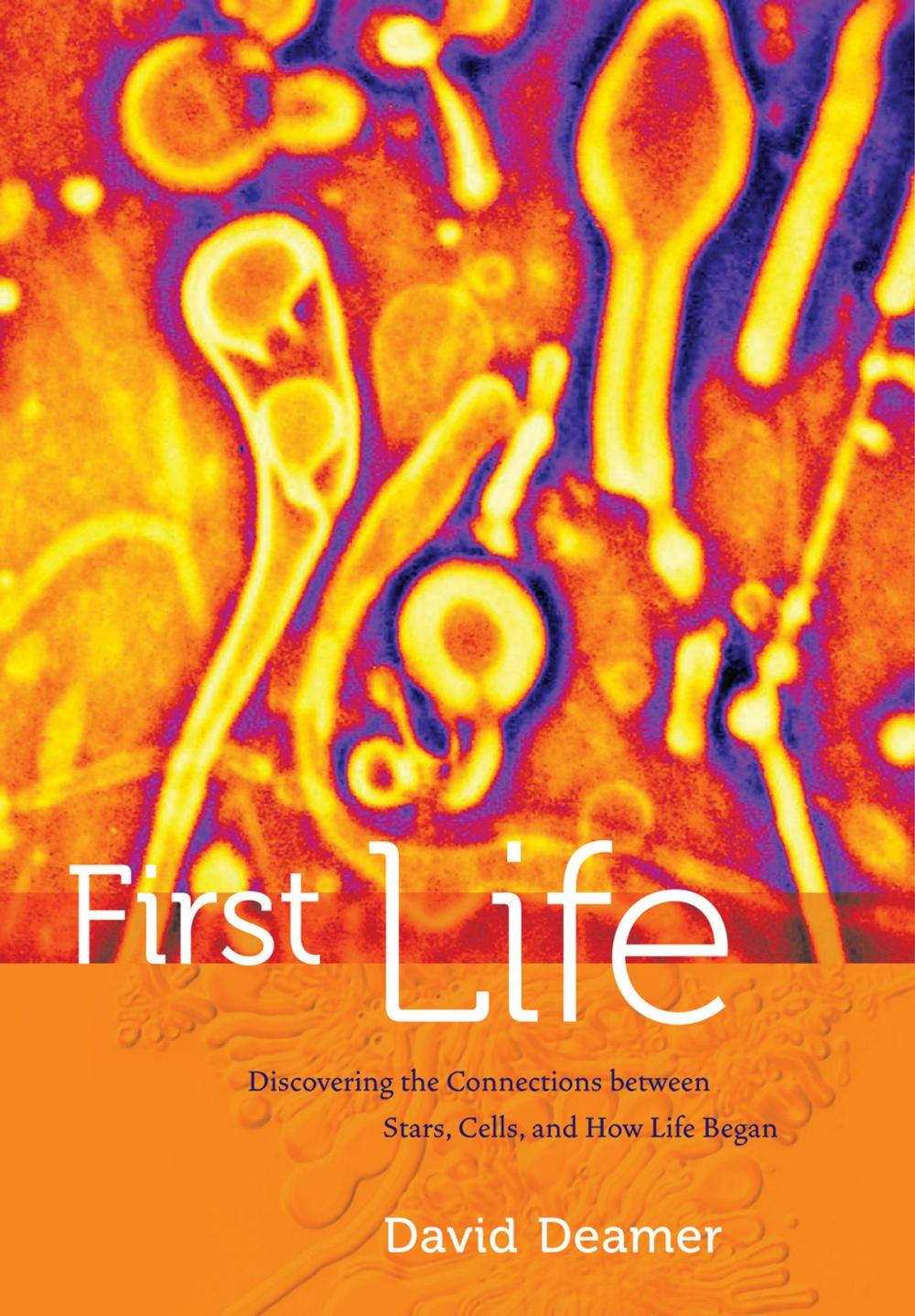 Big bigCover of First Life