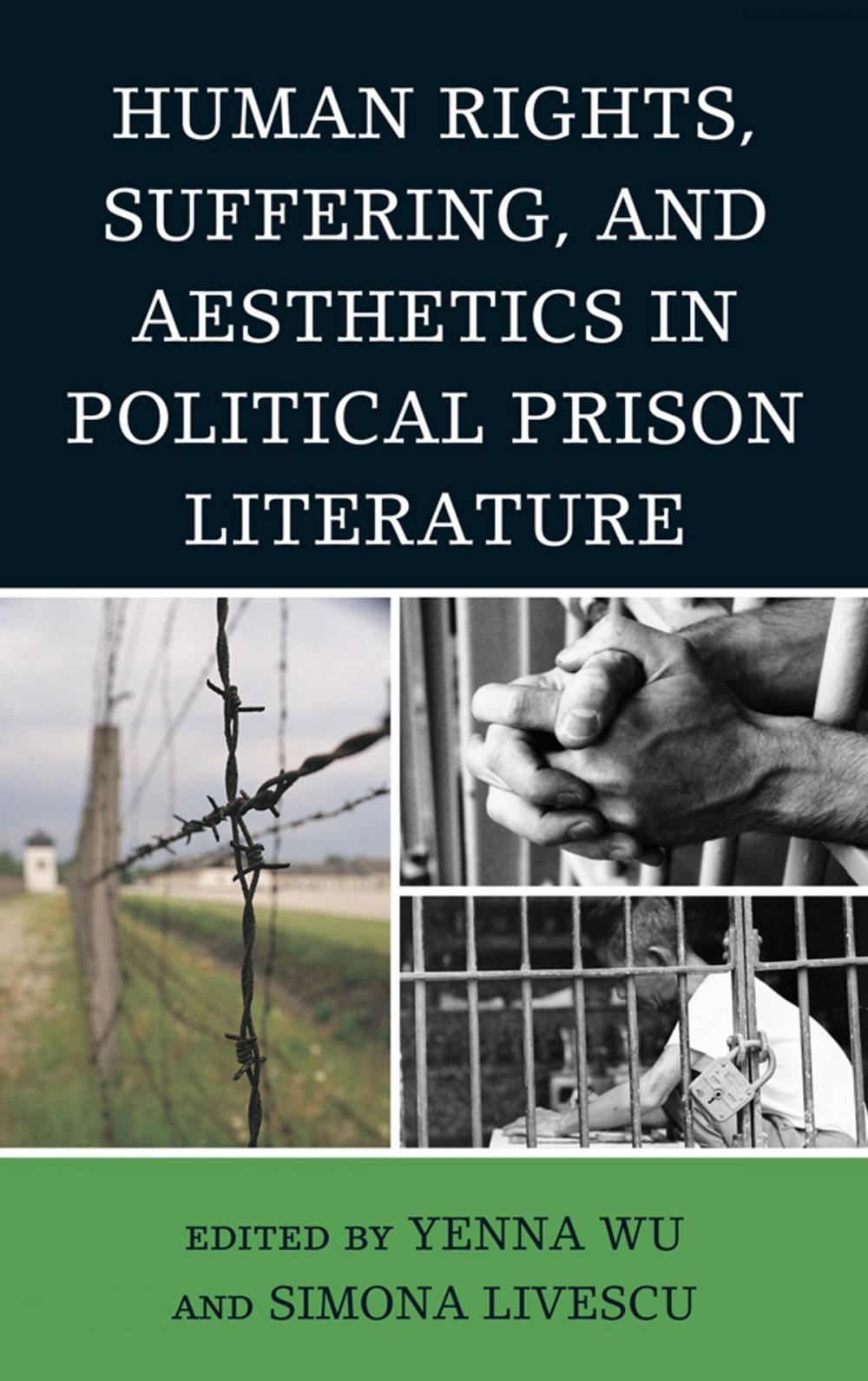 Big bigCover of Human Rights, Suffering, and Aesthetics in Political Prison Literature