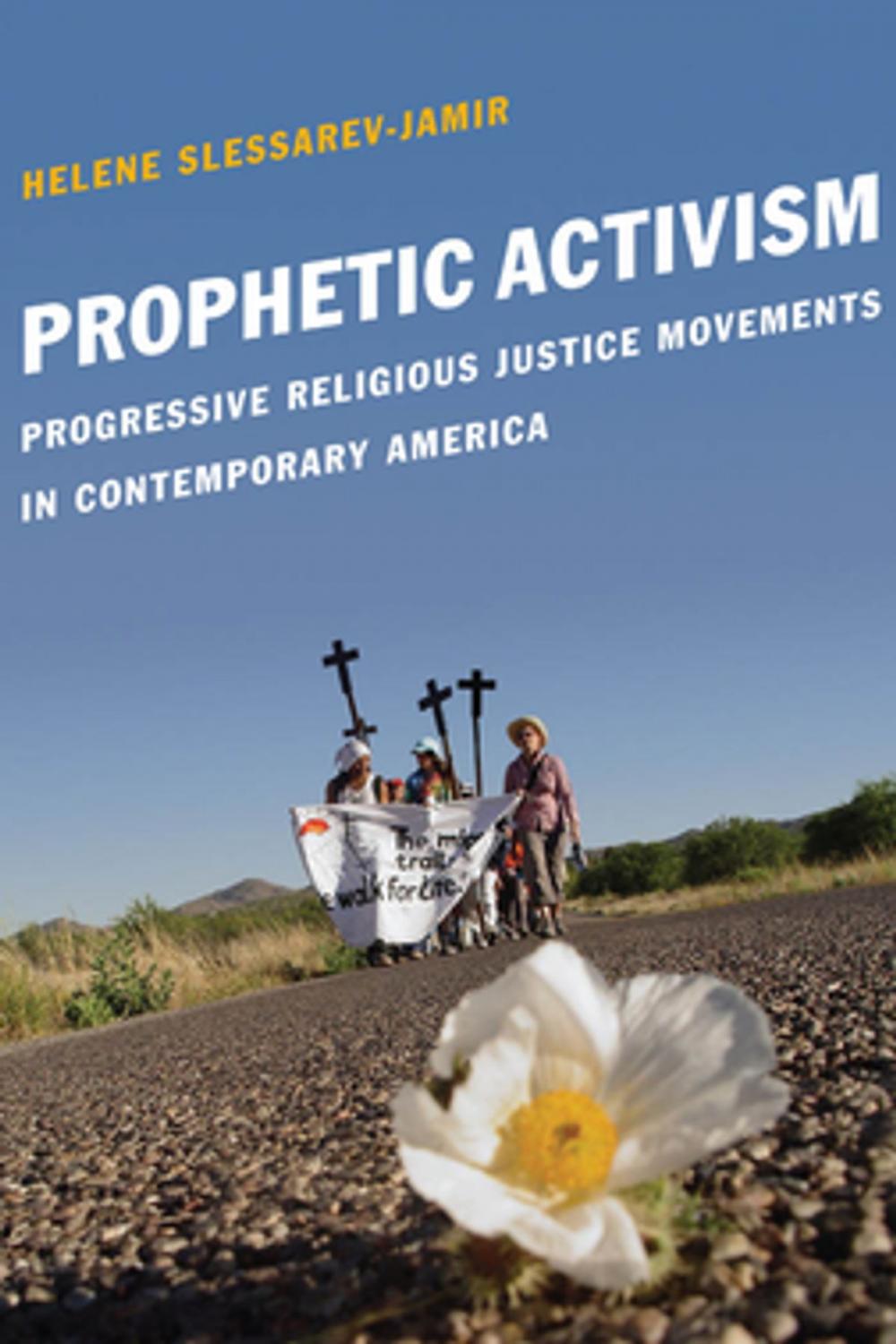 Big bigCover of Prophetic Activism