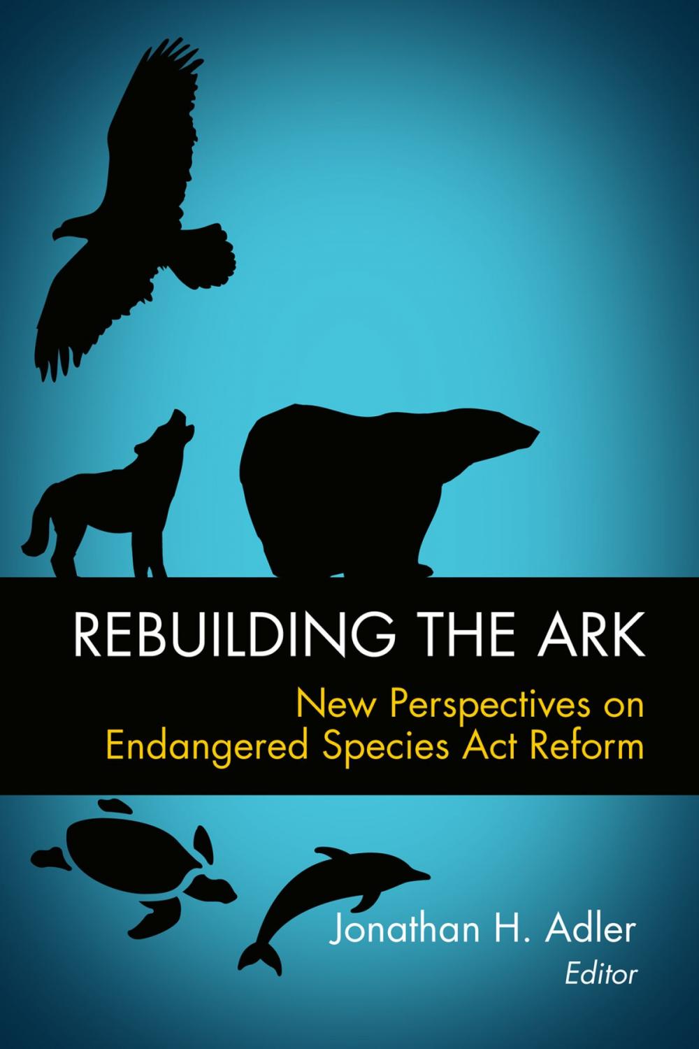 Big bigCover of Rebuilding the Ark