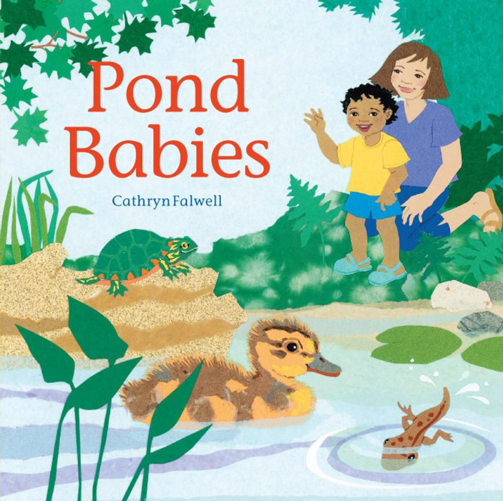 Big bigCover of Pond Babies