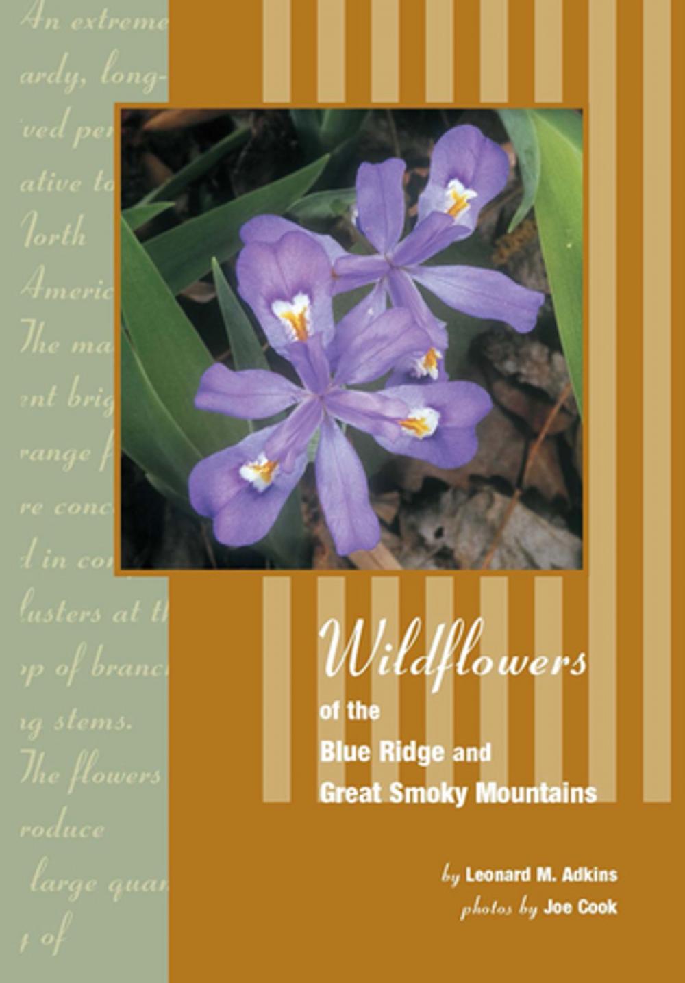 Big bigCover of Wildflowers of Blue Ridge and Great Smoky Mountains