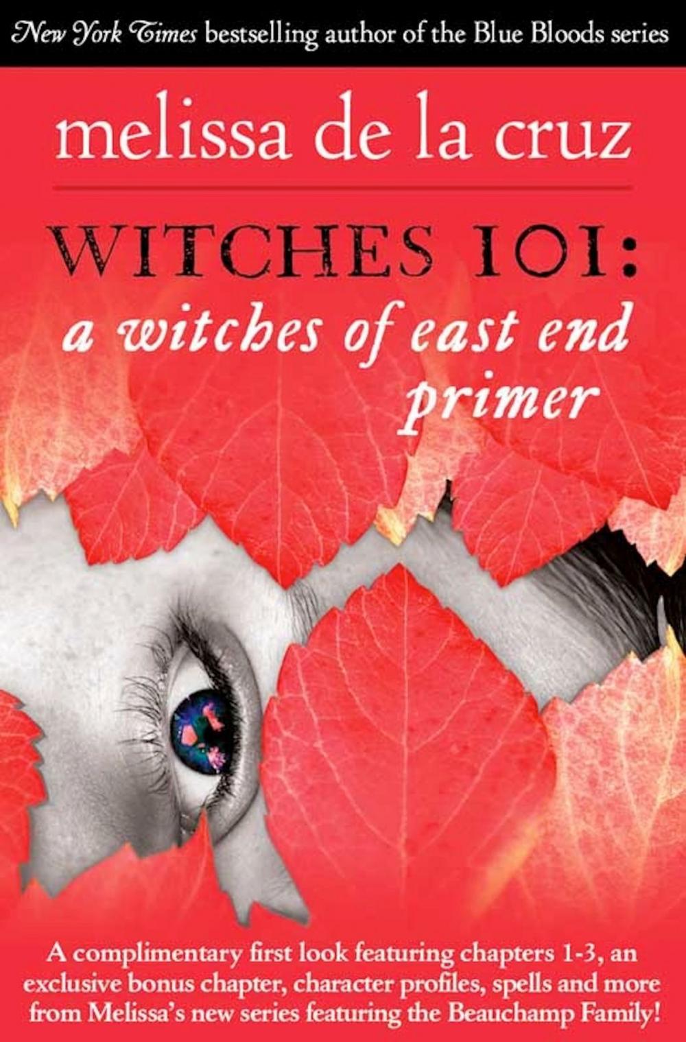 Big bigCover of Witches 101