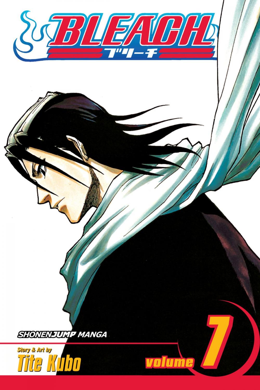 Big bigCover of Bleach, Vol. 7