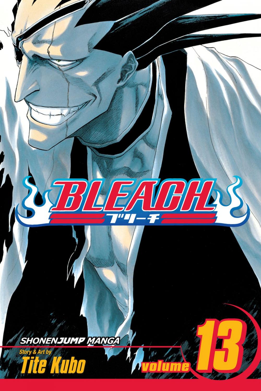 Big bigCover of Bleach, Vol. 13