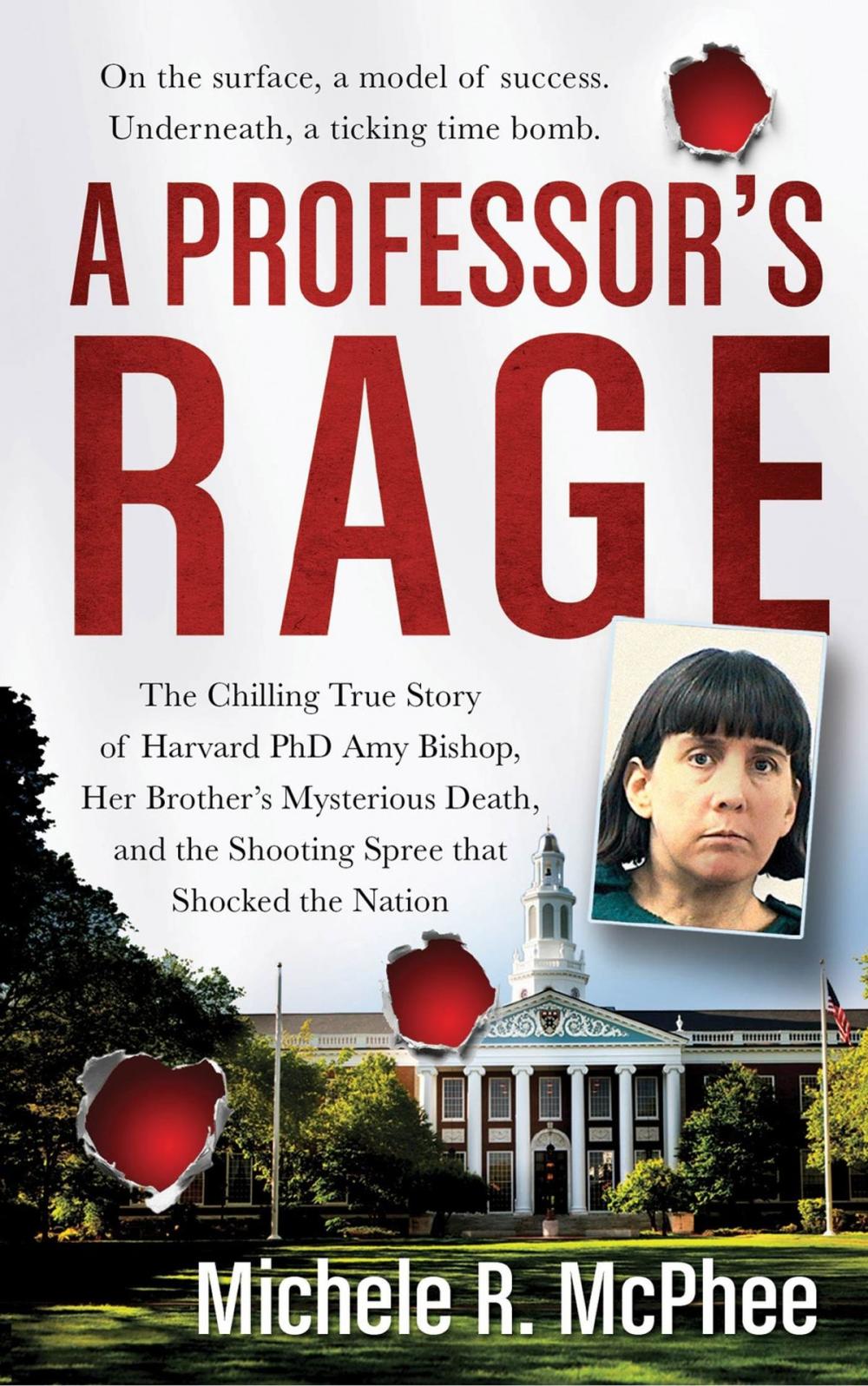 Big bigCover of A Professor's Rage