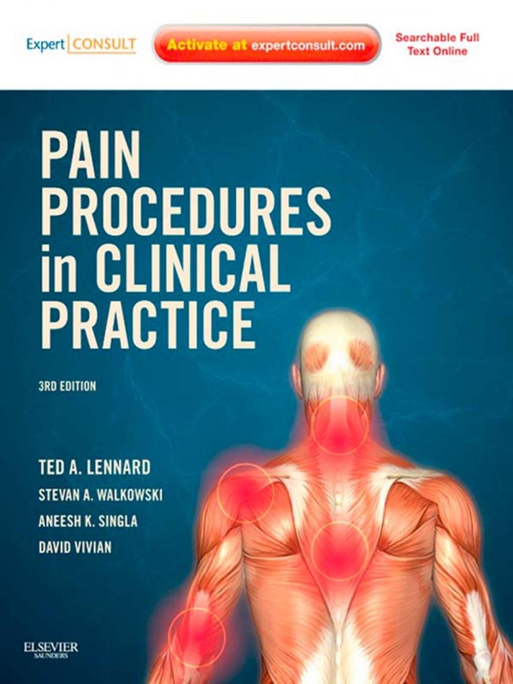 Big bigCover of Pain Procedures in Clinical Practice E-Book