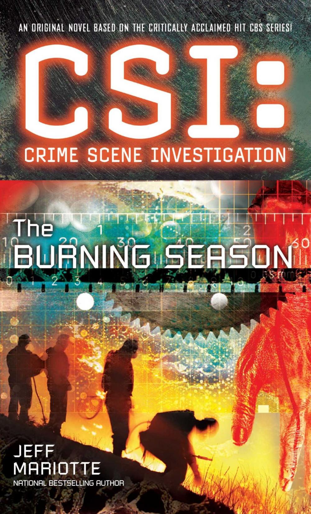 Big bigCover of CSI: Crime Scene Investigation: The Burning Season