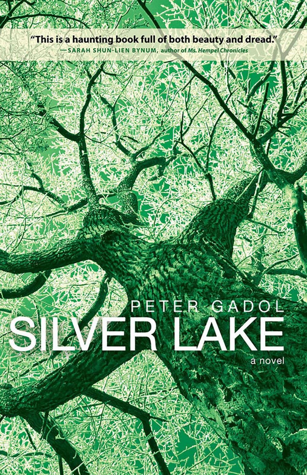 Big bigCover of Silver Lake