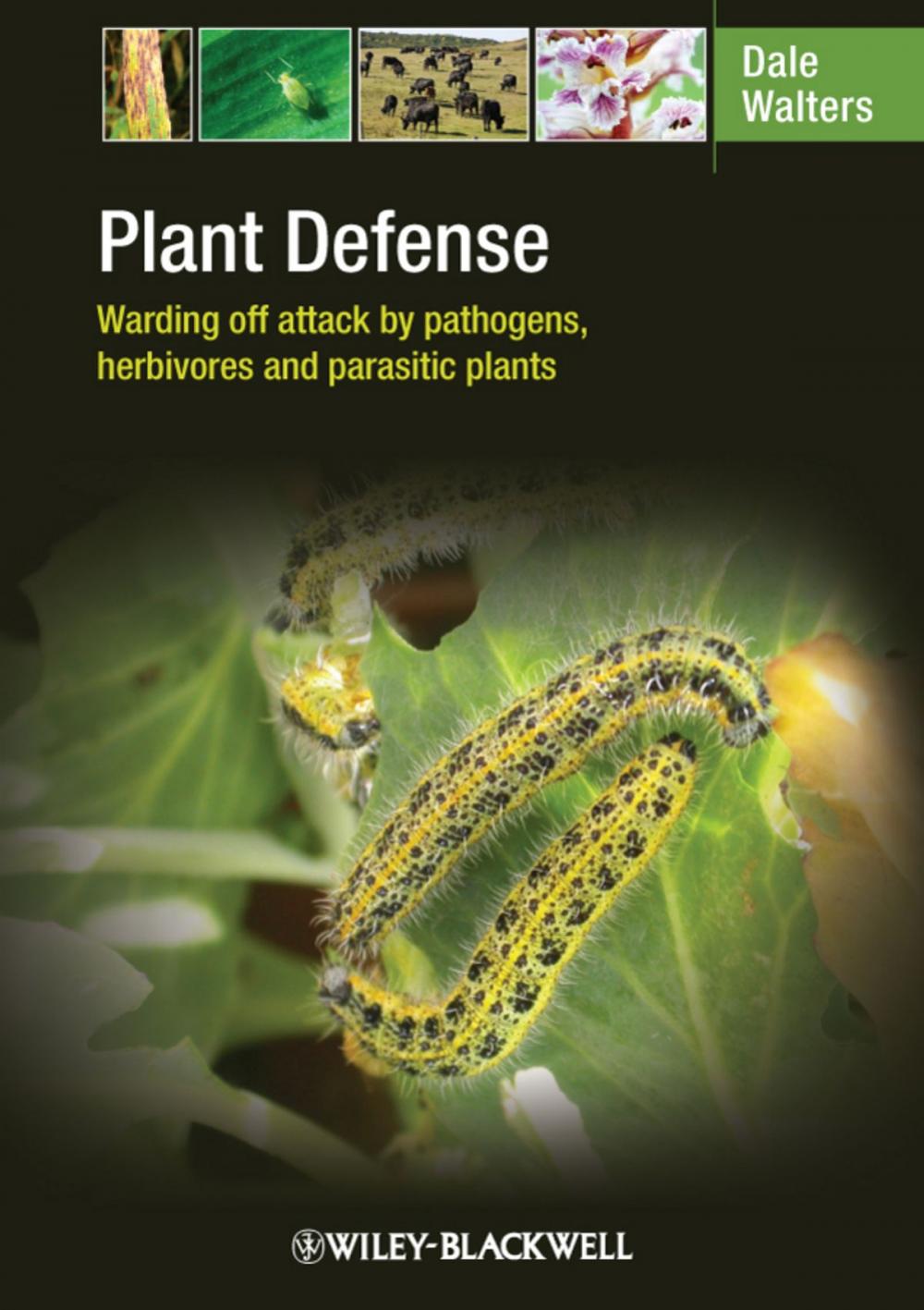 Big bigCover of Plant Defense