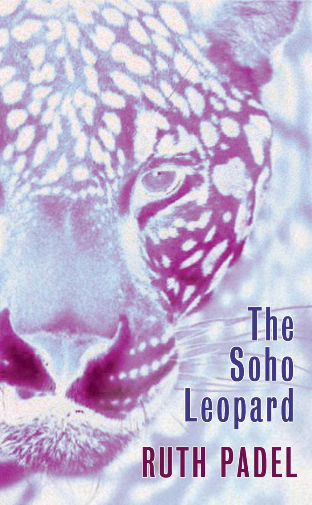 Big bigCover of The Soho Leopard