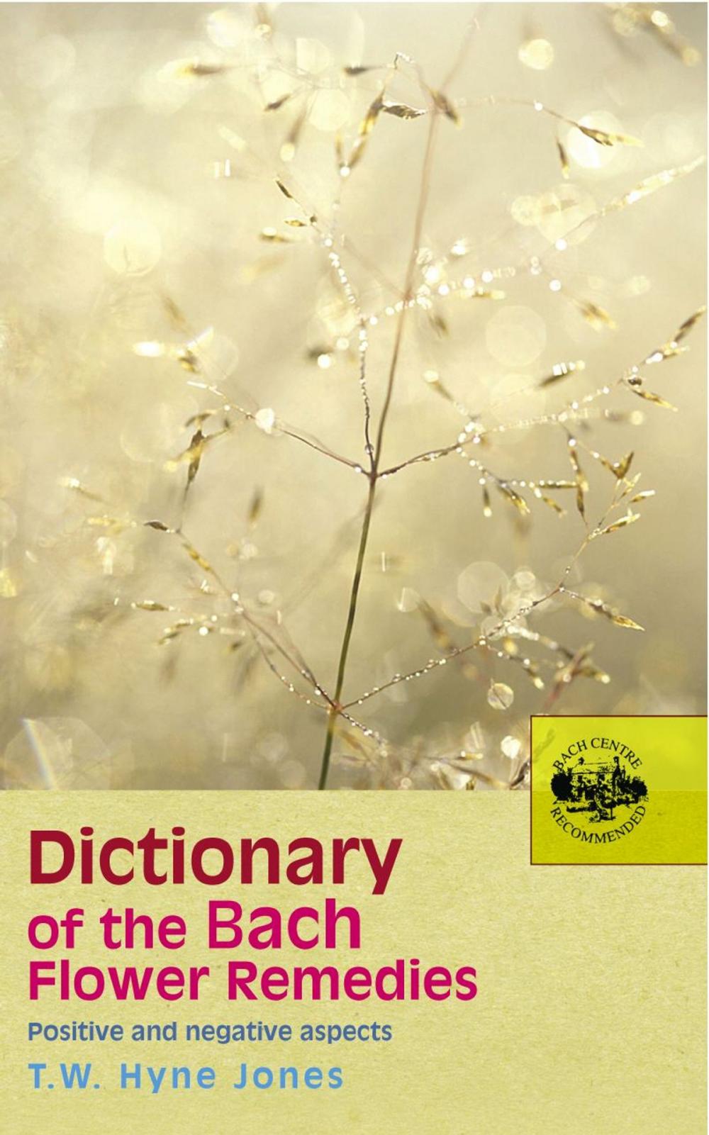 Big bigCover of Dictionary Of The Bach Flower Remedies