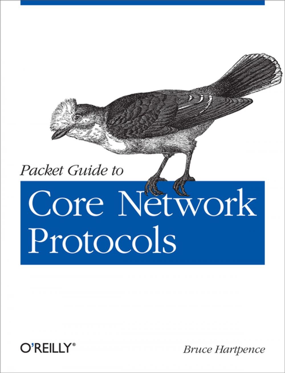 Big bigCover of Packet Guide to Core Network Protocols