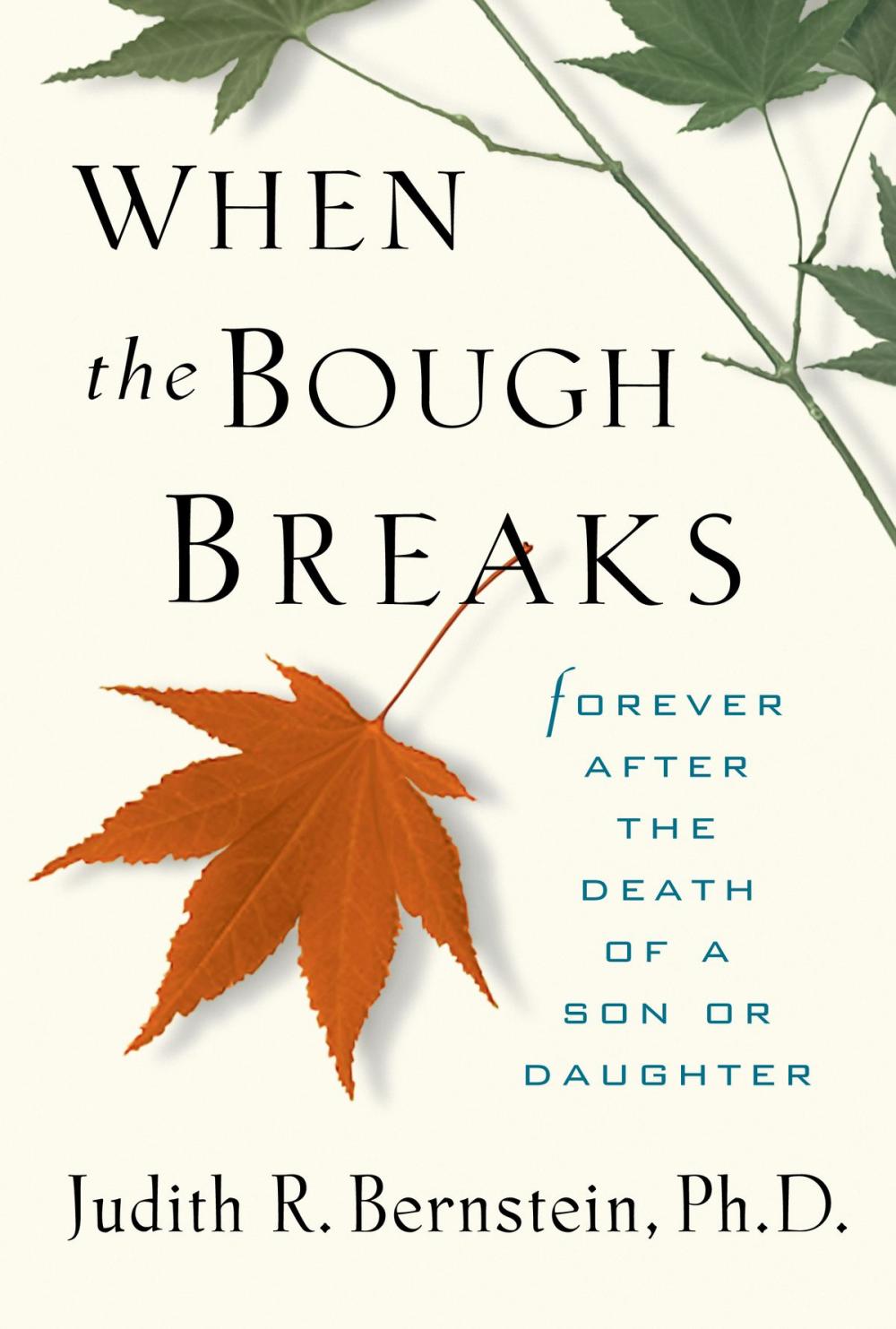 Big bigCover of When the Bough Breaks: Forever After the Death of a Son or Daughter