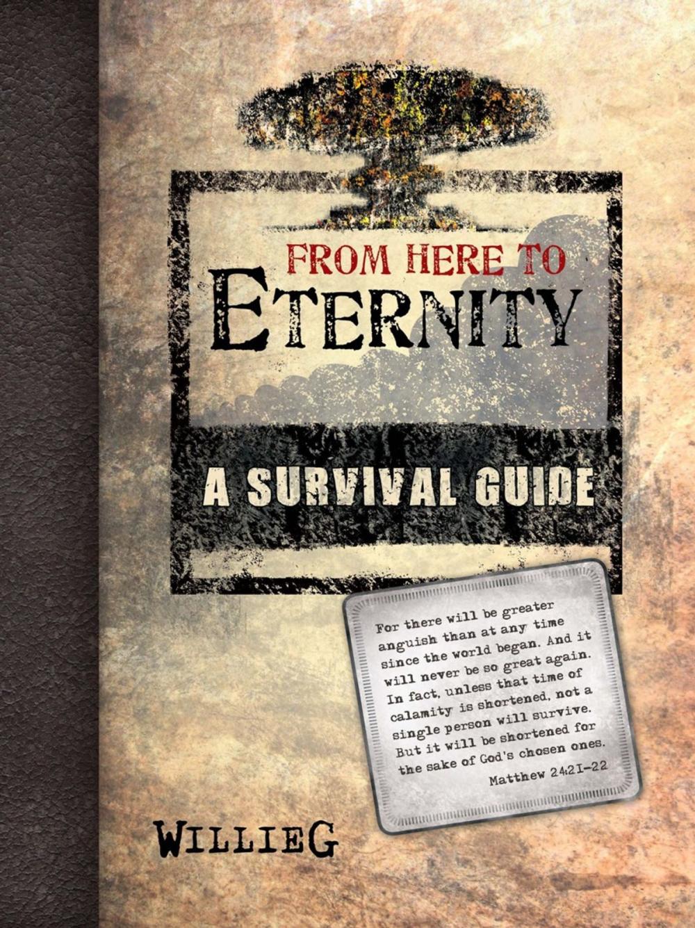 Big bigCover of From Here to Eternity: a Survival Guide