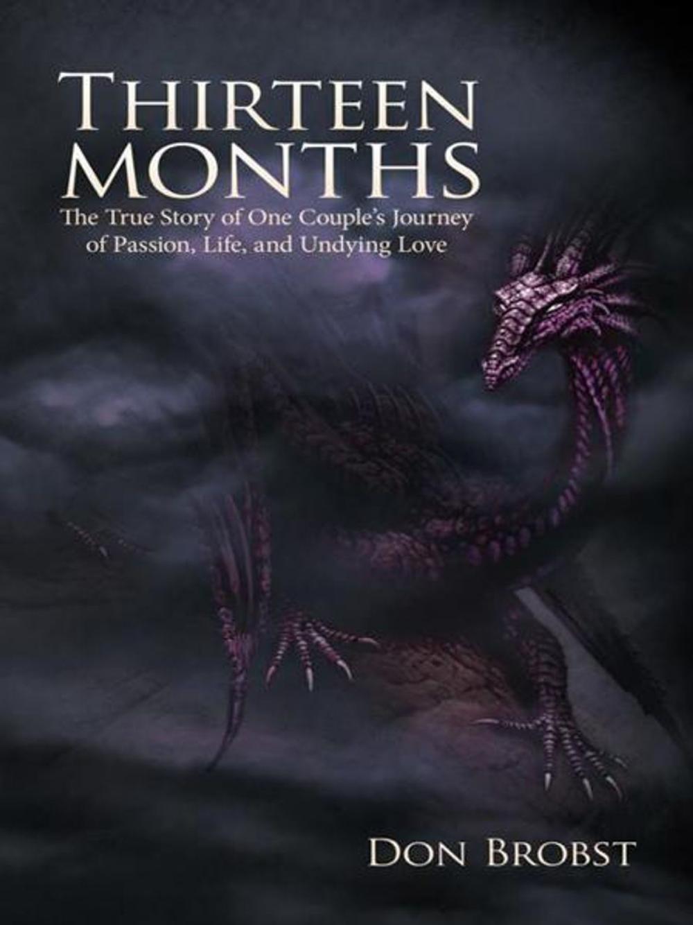 Big bigCover of Thirteen Months