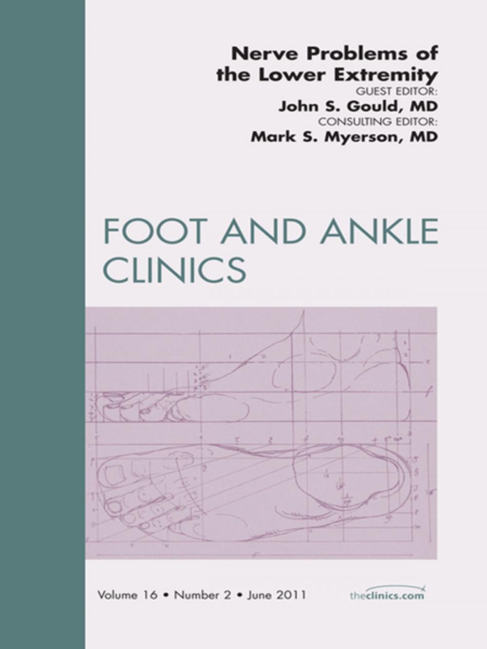 Big bigCover of Nerve Problems of the Lower Extremity, An Issue of Foot and Ankle Clinics - E-Book