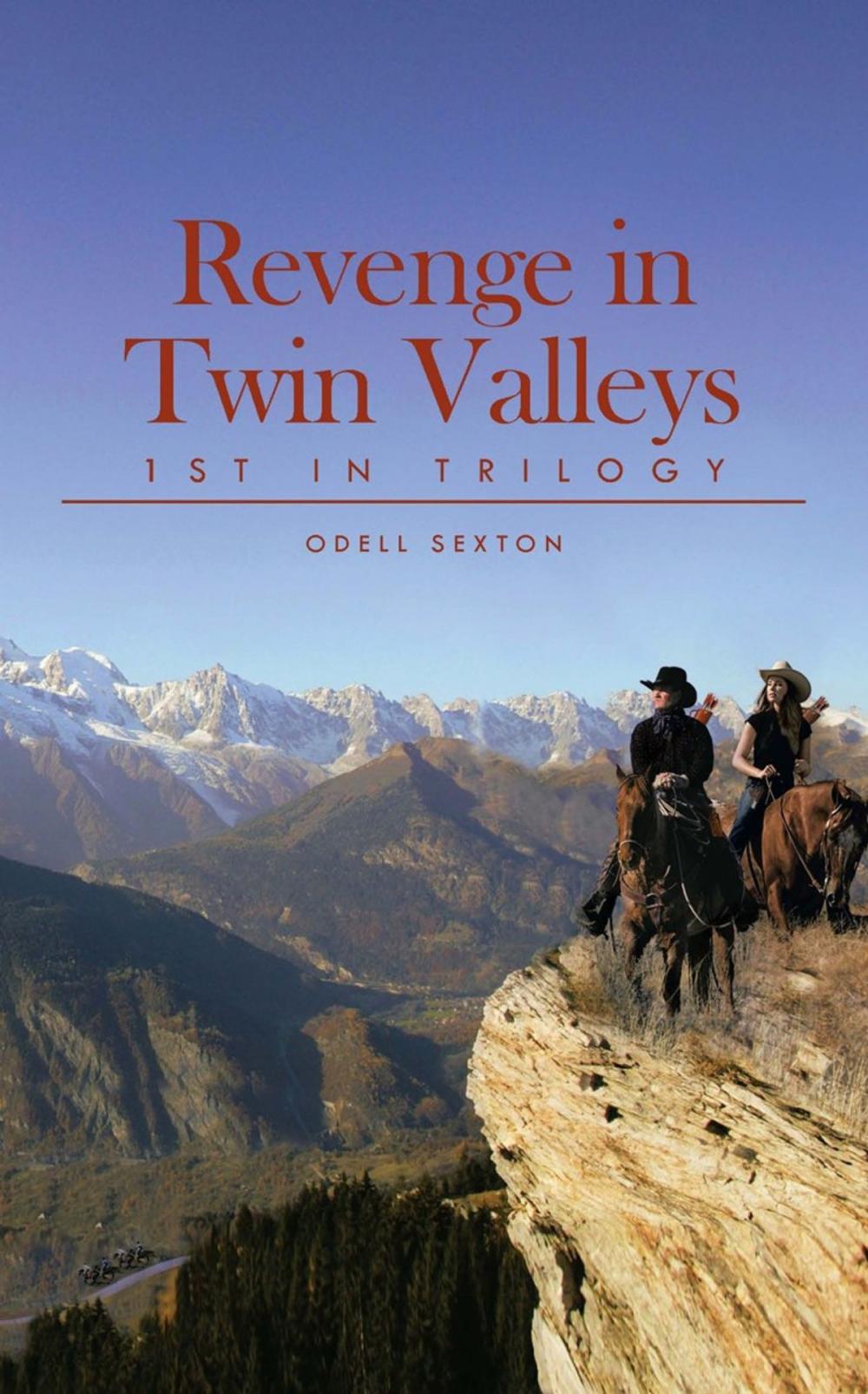 Big bigCover of Revenge in Twin Valleys