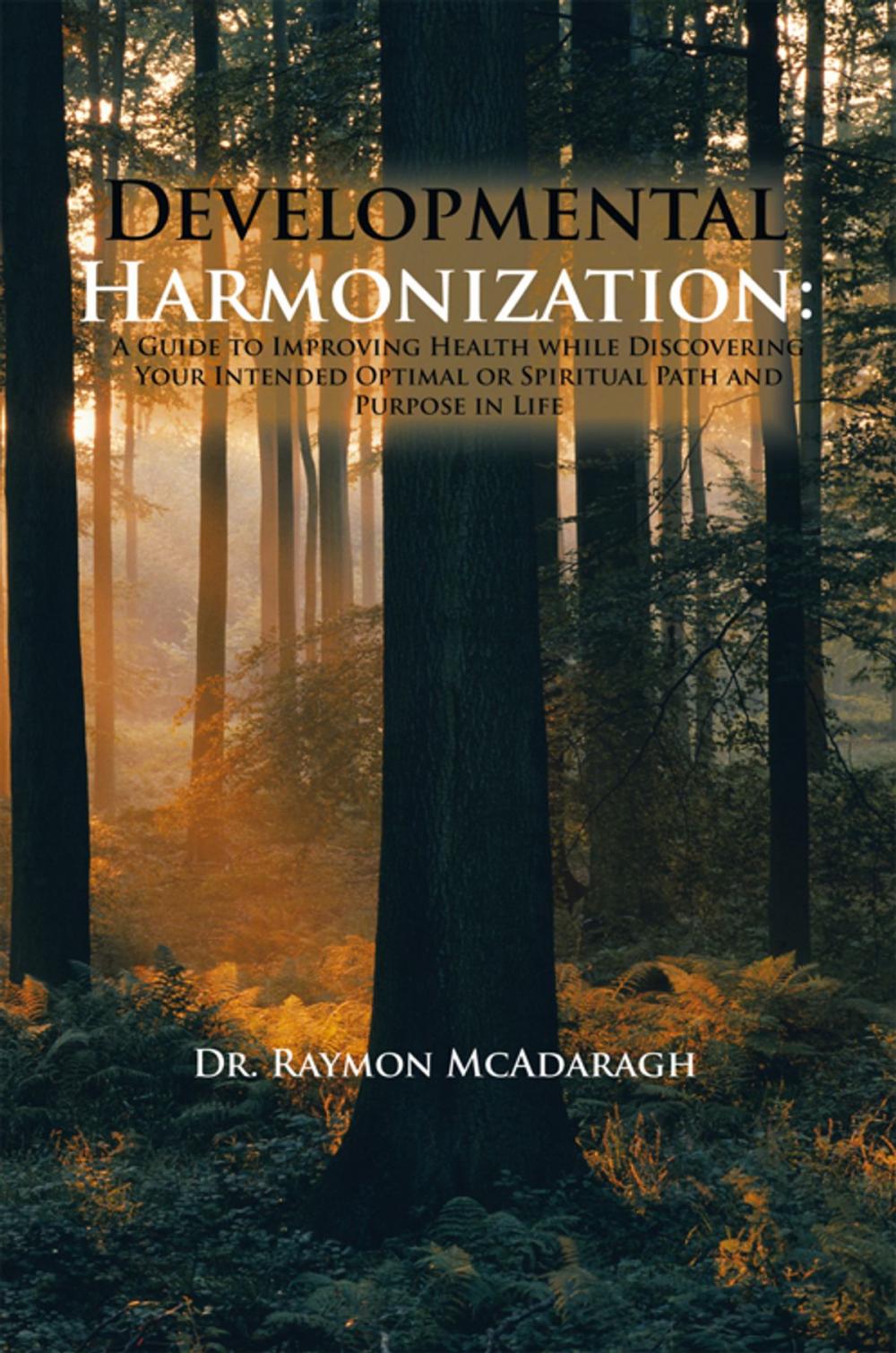 Big bigCover of Developmental Harmonization: