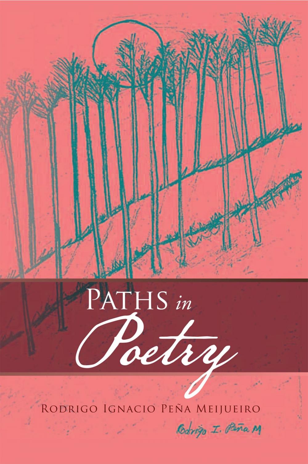 Big bigCover of Paths in Poetry