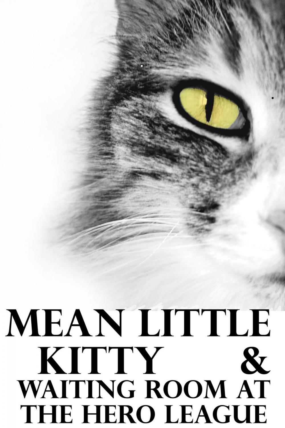 Big bigCover of Mean Little Kitty & Waiting Room at the Hero League